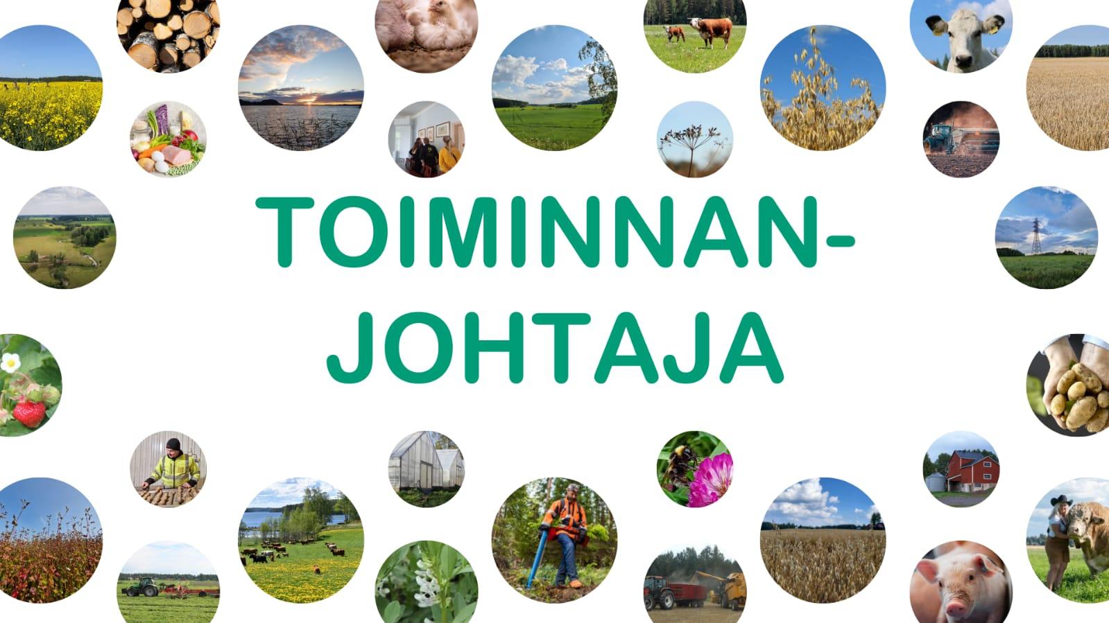 Toiminnanjohtaja